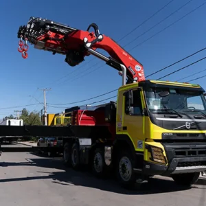 Grúa Autocargante (Camión pluma)